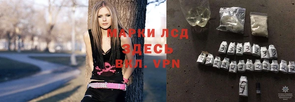стафф Баксан
