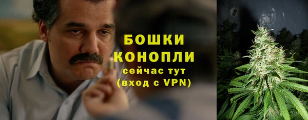 ПСИЛОЦИБИНОВЫЕ ГРИБЫ Балабаново